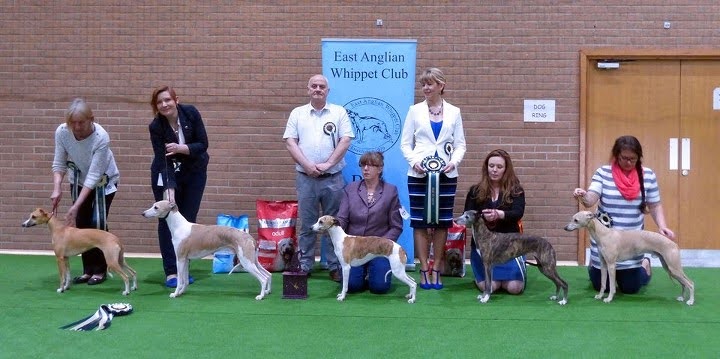 Open Show March 2016