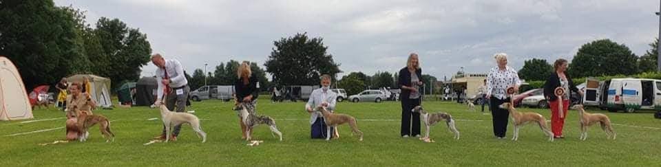 Championship Show 10 July 2021