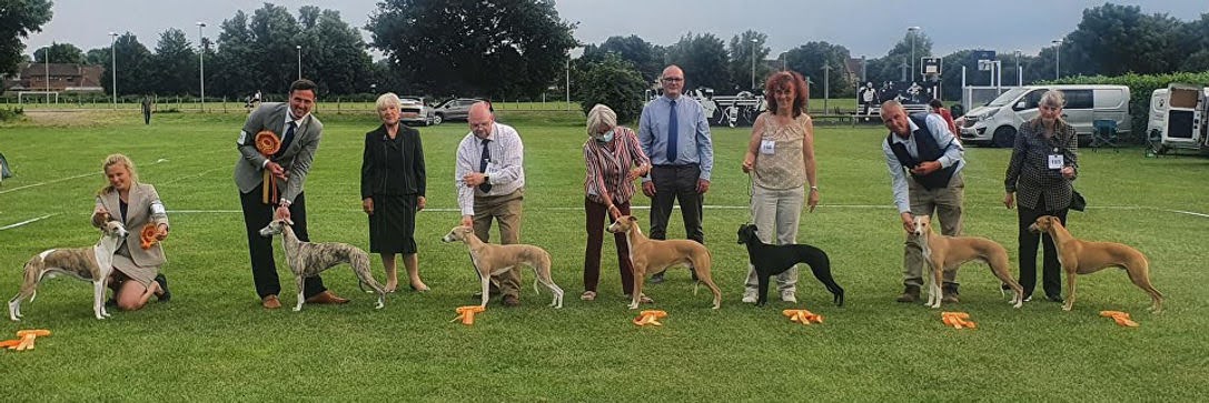 Championship Show July 2021