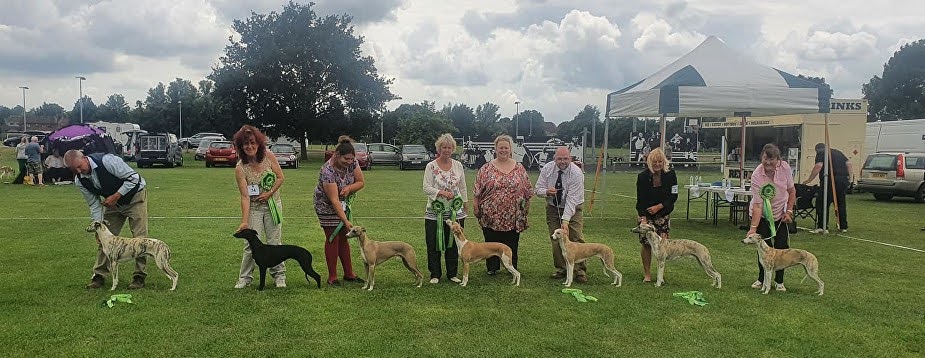 Limit Show - 11 July 2021