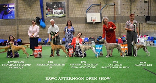 Open Show - July 2018