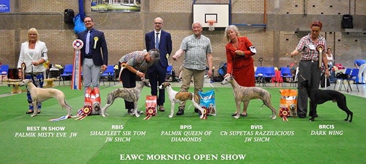 Open Show - July 2018 - Morning