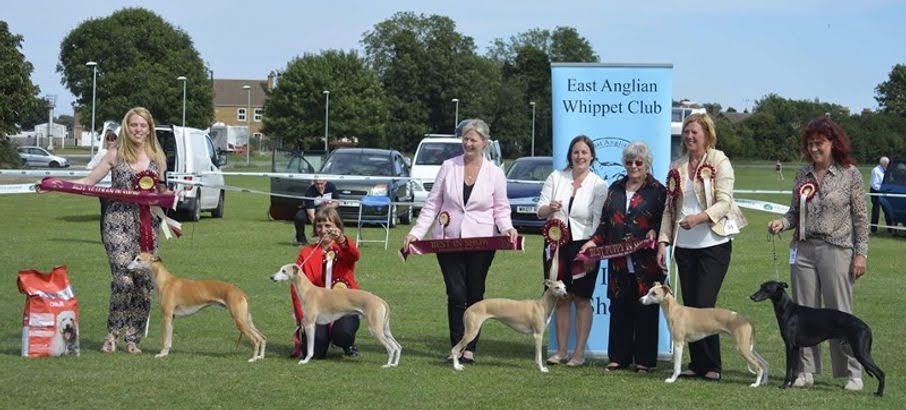 Championship July 2017