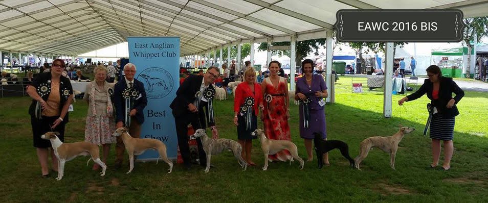 Championship Show Winners 2016