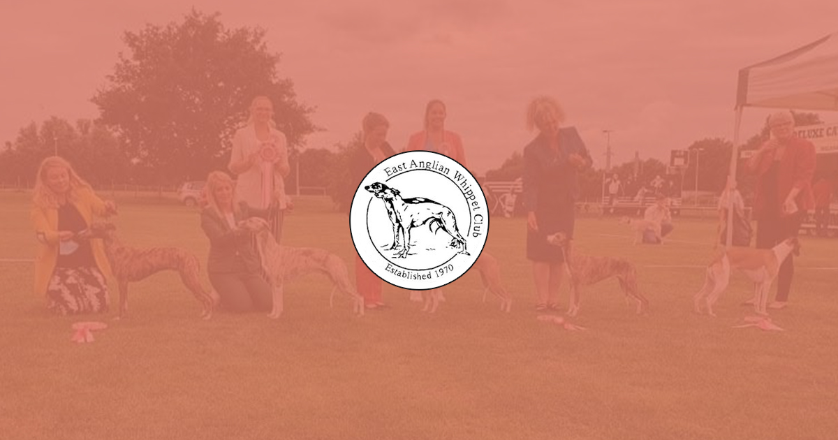 EAWC Default Feature Image